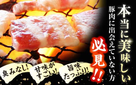 【全6回定期便】【ふわっとまろやかな口どけ。五島の自然の恩恵をうけた豚肉！】五島美豚 焼肉セット （ロース・バラ 1kg×6回 計6kg）【ごとう農業協同組合】 [PAF011]