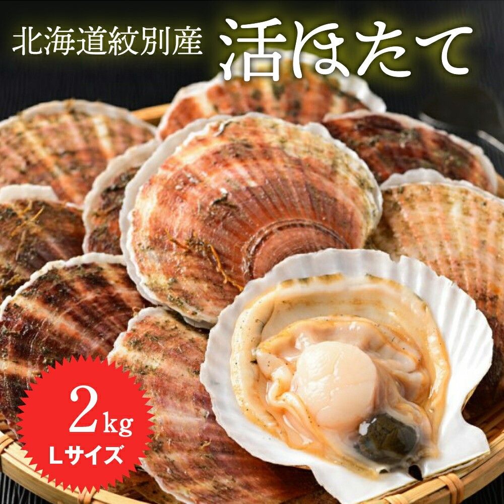 11-145 北海道紋別産 活ホタテ2kg(Lサイズ)