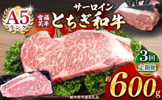 【定期便3回】宮福笑牛(とちぎ和牛) A5 サーロインステーキ 約200gx3枚  | 牛肉 和牛 ステーキ  定期便 サーロイン ステーキ ステーキ用 旨味 美味しい 肉 お肉  栃木県共通返礼品 栃木県 真岡市