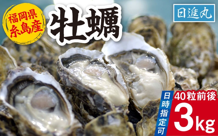 
                  【日時指定可】福岡県糸島産 殻付き牡蠣 加熱用 3kg(40粒前後) 糸島市 / 日進丸 牡蛎 カキ [AWA006]
                