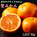 【ふるさと納税】【先行予約】【秀品】有田ブランド 賢みかん 5kg（Lサイズ）［2024年11月中旬より順次発送］【ミカン 蜜柑 柑橘 温州みかん 有田みかん】