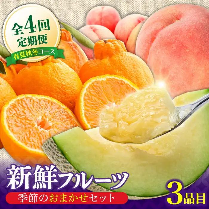 【4回定期便】旬フルーツ定期便 旬の果物をお任せで3品目お届け フルーツ定期便 [SCZ020]