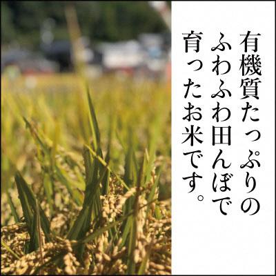 ふるさと納税 瀬戸内市 瀬戸内市のおいしい お米 「ひのひかり」10kg(5kg×2袋)石黒農園[No.5735-1647] |  | 01
