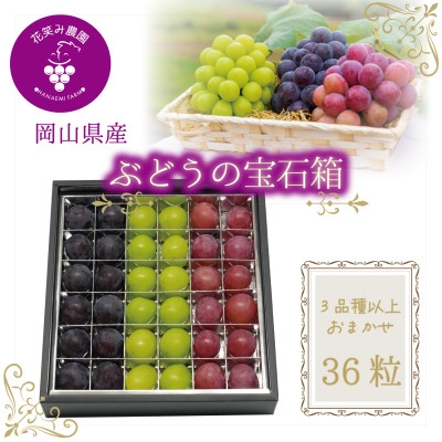 
            岡山　花笑み農園『ブドウの宝石箱』3種以上(36粒入り)　3M-宝36＜9月中旬～発送＞【1629381】
          