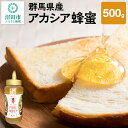 【ふるさと納税】群馬県産アカシア蜂蜜 500g