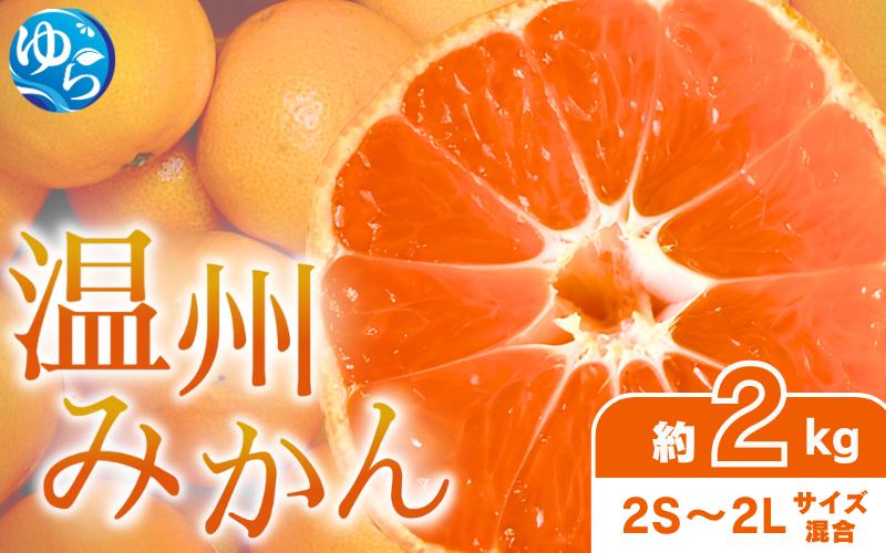 
            【先行予約】農家直送 和歌山県由良町産 温州みかん 約2kg 2S～2Lサイズ混合 ※2025年11月中旬頃～2025年12月中旬頃に順次発送 / 農家直送 くだもの  果実  柑橘 果物 フルーツ 国産 和歌山県 由良町 ご家庭用 人気 おすすめ【nktn015】
          