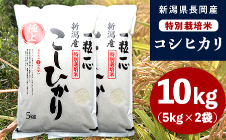 48-8N101新潟県長岡産特別栽培米コシヒカリ10kg