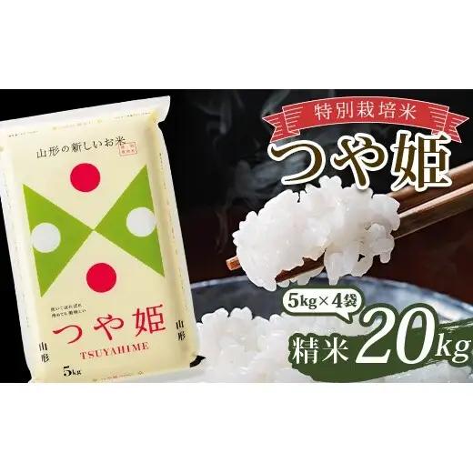 令和7年産 特別栽培米 つや姫 (精米) 20kg (5kg×4袋) 山形県南陽市産 米 白米 ご飯 農家直送 山形県 南陽市 [1660-A]
