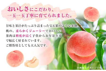 和歌山県産 桃 秀品 約1.5kg(5玉～6玉)