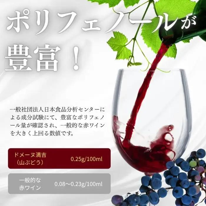 「満吉 2025」(750ml) 1本【ドメーヌ満吉】 日本ワイン 赤ワイン 山ぶどう 果実味 濃い 凝縮感 酸味 渋味 北海道 比布町 ぴっぷ 1030-001