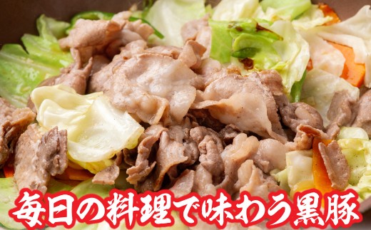 【定期3ヶ月】黒豚切り落とし（うで・もも） 300g×5 【 ふるさと納税 人気 おすすめ ランキング 北海道産 十勝 黒豚 豚肉 うで モモ 切り落とし 自宅用 BBQ ギフト 贈答用 贈り物 鹿追