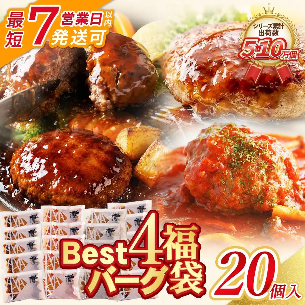 Z61-32R09 寄附額改定↓↓ 【7営業日以内発送】 Best4バーグ 20個セット 4種 ハンバーグ