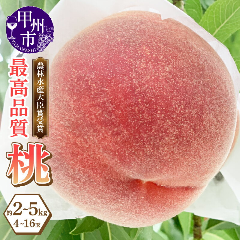 【ふるさと納税】 桃 2026年 先行予約 選べる内容量 約2kg 約3kg 約5kg 4〜16玉 果物 もも モモ 大藤の桃 白鳳系 白桃系 フルーツ 果実 デザート 朝どれ 採れたて 6月 7月 8月 9月 発送 新鮮 産地直送 数量限定 期間限定 最高品質 贈答 ギフト 家庭用 山梨県 甲州市 (LMS)