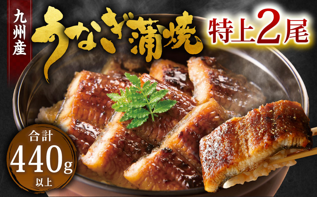 
            九州産 うなぎ 蒲焼 特上 2尾 計440g以上 (1尾あたり220～235g)
          