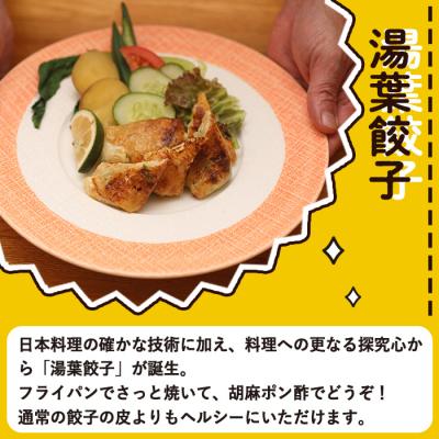 ふるさと納税 佐伯市 衝撃一品!御料理はし本 湯葉餃子 (計10個) |  | 03