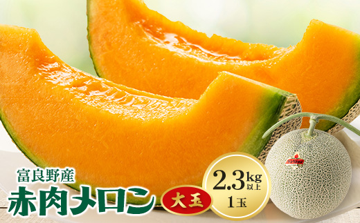 
                  ＜2026年発送＞富良野メロン　大玉　赤肉メロン1玉(2.3kg以上)【1398748】
                