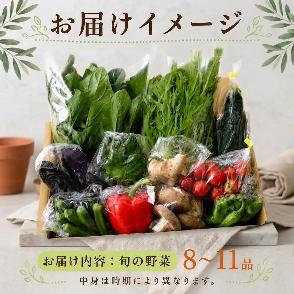 【2回定期便 野菜】 こだわりの新鮮野菜セット(8~11品目)