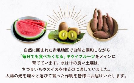 【先行予約】富山県産スイカ 羅皇 中玉 1玉 （3-4kg/玉） 【2026年8月以降順次発送】 スイカ 夏 果物 フルーツ 富山県 氷見市