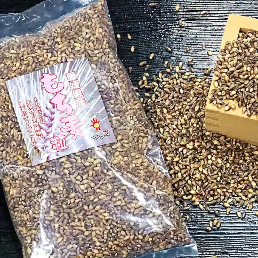 内子町産もち麦7kg BKAD014 もち麦
