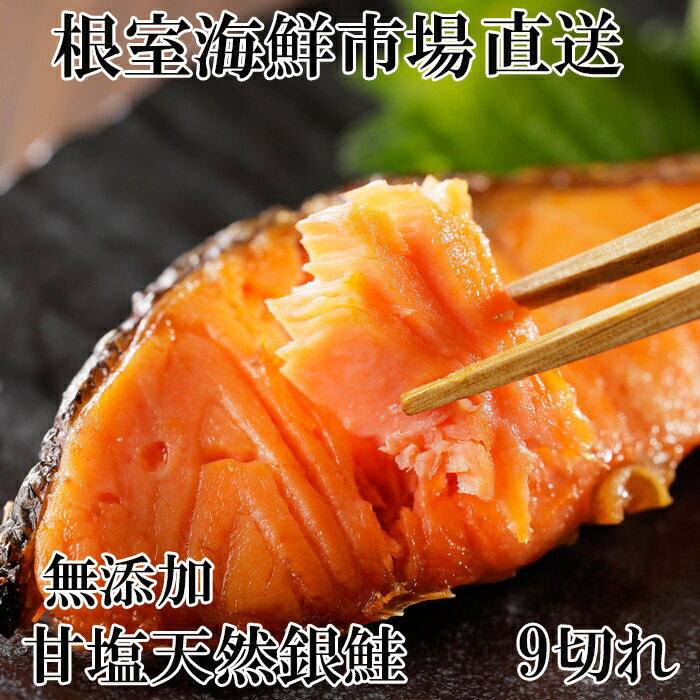 【ふるさと納税】 無添加 天然 銀鮭 切身 9 切 切り身 鮭 さけ サケ しゃけ シャケ 魚 さかな サカナ 銀ざけ 銀ザケ 甘塩 塩ざけ 塩鮭 お取り寄せ グルメ 海鮮 北海道 根室市 ふるさと納税 G-28075