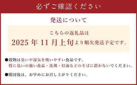 ヘルシー五穀米 250g×2袋  計500g 五穀米 雑穀米 雑穀 五穀 米 お米 黒米 押し麦 麦 もち麦 玄米 赤米 ブレンド 常温 お取り寄せ 国産 九州産 熊本県 湯前町