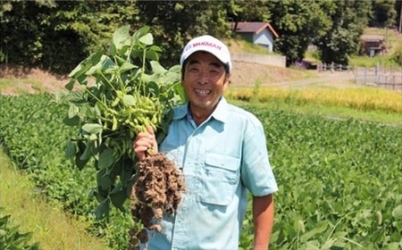 【先行予約・数量限定】風味豊かな早生枝豆「越後はちこく茶豆」 1kg（250g×4袋）新潟県産枝豆[ZA025]