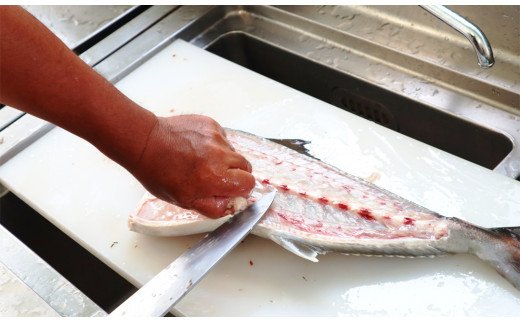 大和ｶﾝﾊﾟﾁ半身(ﾌｨﾚ)約1.2kg?1.5kg×2枚かぶと付き N072-YD0192