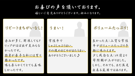 【 6ヶ月 定期便 】『 常陸牛 』 切り落とし 1kg (茨城県共通返礼品) 国産 お肉 肉 A4ランク A5ランク ブランド牛