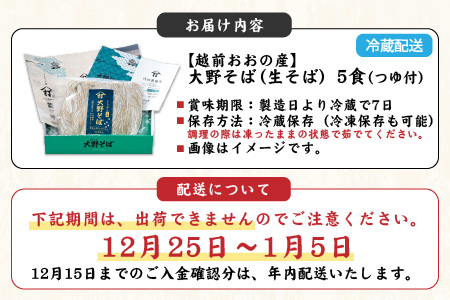 越前大野産 石臼挽き 越前そば 生そば5食（つゆ付） [A-018013]