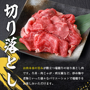 牛肉 切り落とし 約700g 【牛肉】【ho0862】