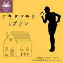 【ふるさと納税】 空き家管理 保全 代行 定期便 甲府市 山梨県 Lプラン 120平米～ 12か月 毎月 1年 目視確認 定期巡回 メンテナンス ケアプラン k281-003