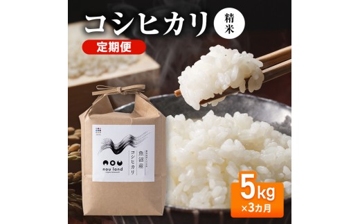 
                  【先行予約】令和8年産 定期便 コシヒカリ精米5kg×3カ月
                