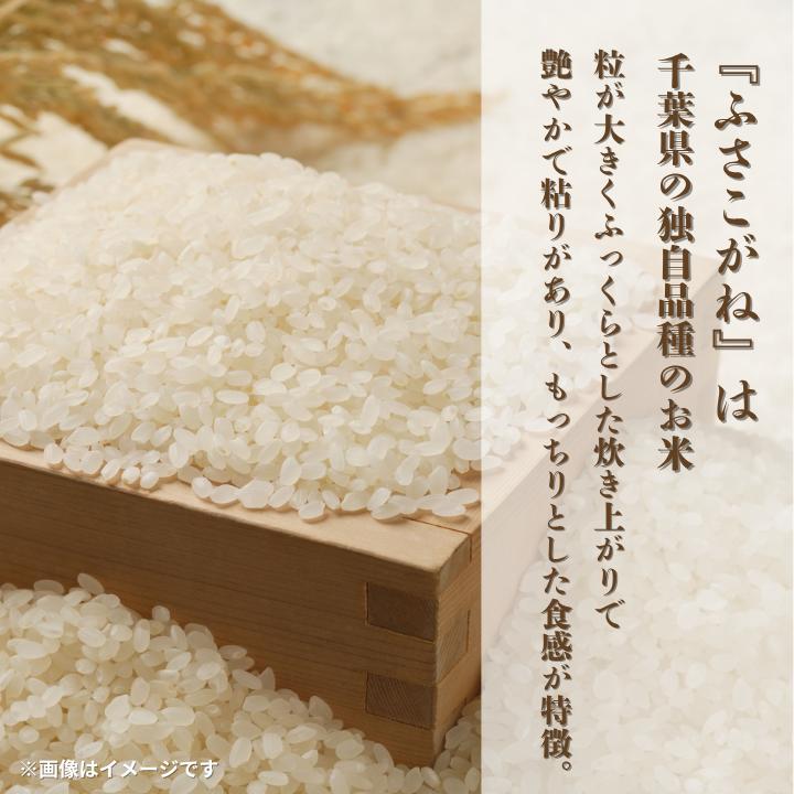 令和7年産 ふさこがね 精米 10kg （ 5kg × 2 ） ／ 米 こめ コメ お米 ごはん ご飯 精米 白米 10kg 5kg ふさこがね 令和7年産 新米 JA 農協 ちばみどり ちばみどり農
