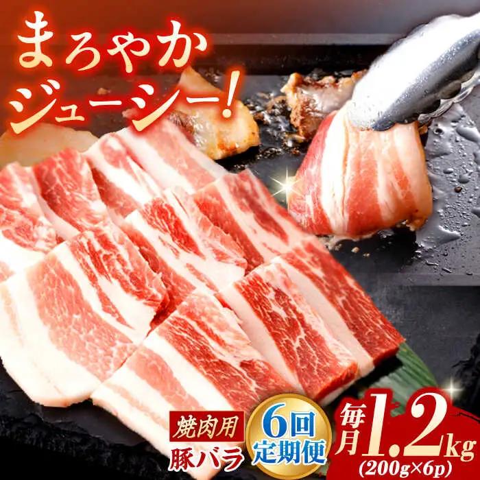 【定期便】 豚肉焼肉 総計7.2kg NAC605 豚肉 全6回