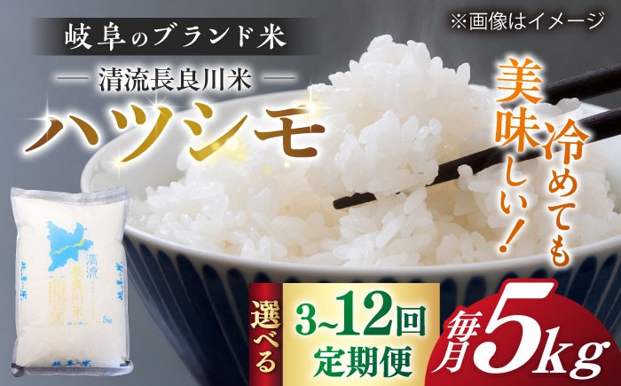 
                  【選べる定期便回数】【R7年産】岐阜 ハツシモ 5kg 名水 100選に選ばれた 長良川 中流の水で育った 「清流長良川米」 ハツシモ はしつも 長良川 清流米 すし飯  冷めても美味しい お米 米 こめ 白米 5kg 5キロ 定期便 岐阜市 / 森ライス [ANCU005]
                