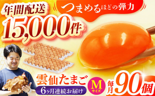 【全6回定期便】雲仙たまご Mサイズ90個(85個＋割れ補償5個入り) 長崎県/塚ちゃん雲仙たまご村 [42ACAE021] 卵 玉子 タマゴ 鶏卵 長崎 島原 九州 6ヶ月 6か月