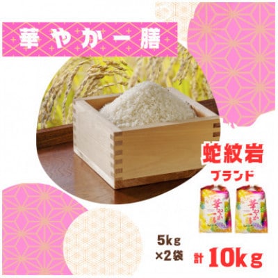 【毎月定期便】蛇紋岩ブランド 華やか一膳 10kg(5kg×2)全3回【4071008】