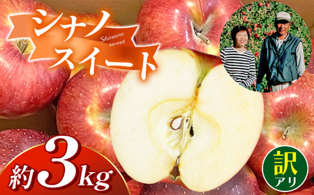 【先行受付：2026年発送】訳アリ　シナノスイート　3㎏　（9～12玉）
