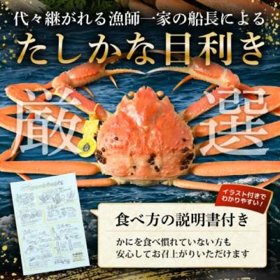 ふるさと納税 美浜町 《年末発送》【カニスプーン付き】越前がに《約400g×2杯》茹でたてを冷蔵便でお届け! |  | 01