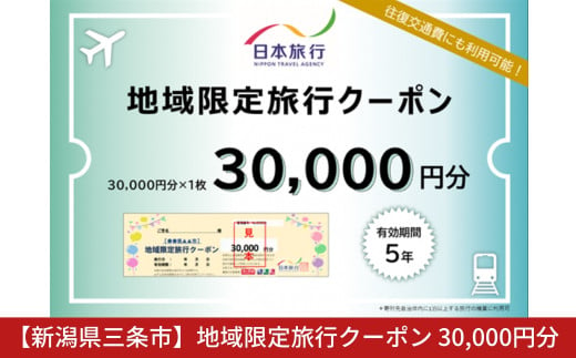 
[新潟県三条市] 地域限定旅行クーポン 30,000円分 日本旅行 【100S002】
