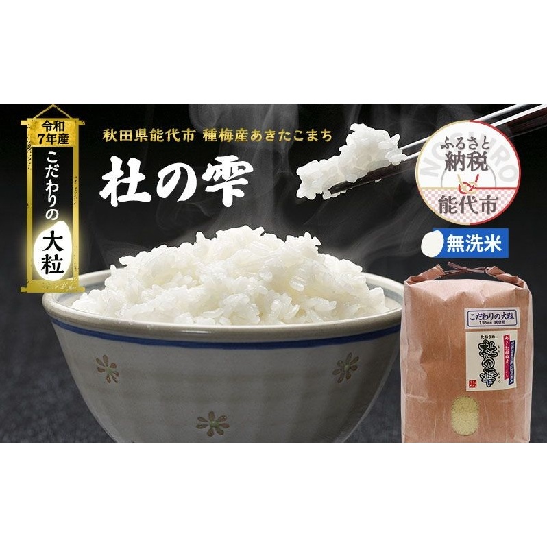 令和7年産 新米 米 お米 《定期便6ヶ月》【無洗米】秋田県産 あきたこまち あきた種梅産こまち 杜の雫 こだわりの大粒 9kg×6回 合計54kg
