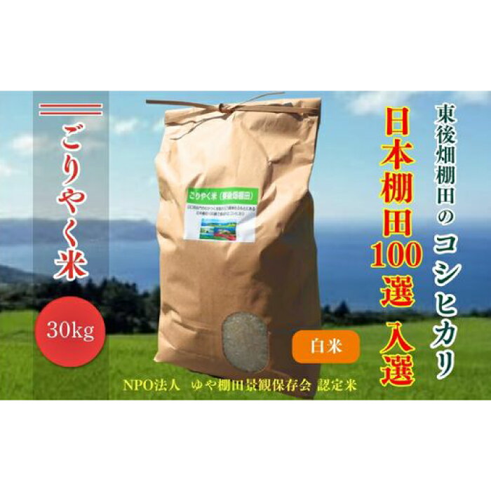 【ふるさと納税】令和7年度産 ごりやく米 東後畑棚田こしひかり白米 無洗米 玄米 1ぶづき米 30kg 棚田米 長門市 コシヒカリ こしひかり