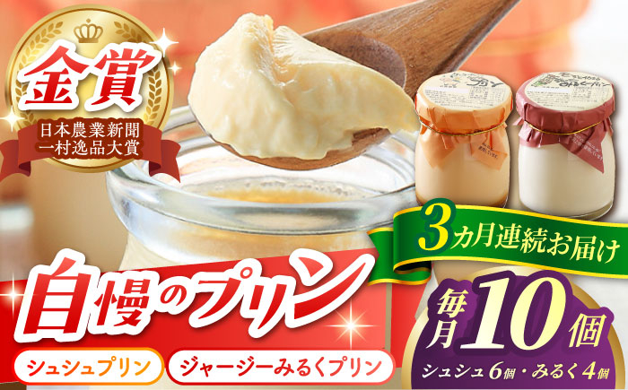 
                  【3回定期便】シュシュプリンとジャージーみるくプリンセット 10個/月（計30個）/ プリン スイーツ ミルク ジャージ―牛乳 /  大村市 / おおむら夢ファームシュシュ [ACAA320]
                
