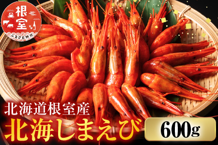 【北海道根室産】ボイル北海シマエビ600g B-42086