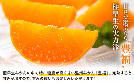 【先行予約】みかん 極早生みかん 豊福 10kg