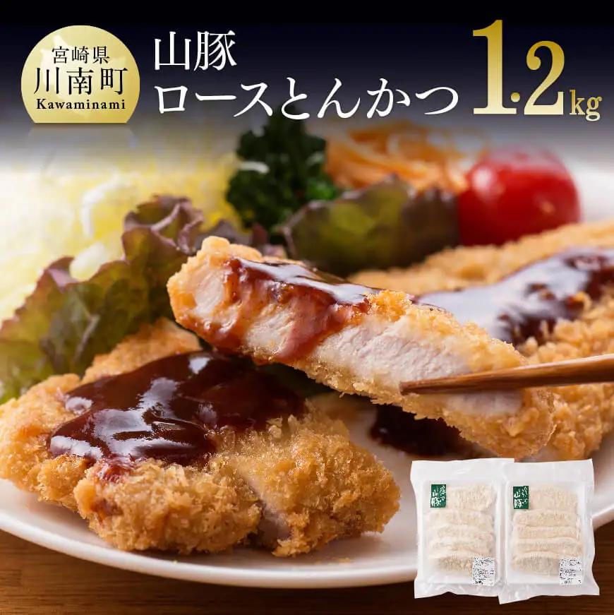 豚肉 パン粉付きで揚げるだけ！きじょん山豚ロースとんかつ10枚（1個120ｇ）