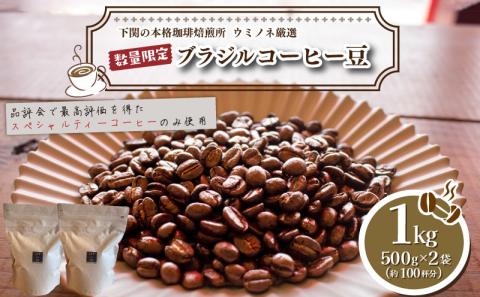 【豆】訳あり コーヒー豆 1kg ( 500g × 2袋 ) ブラジル 再入荷 2024年度入荷分 出荷当日 自家焙煎 スペシャルティコーヒー 数量限定 珈琲 コーヒー 下関 山口 EW144-A