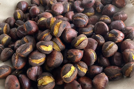 冷凍 焼き栗 2袋 （果じゅまる園）栗 くり クリ M L サイズ 焼栗 農薬不使用 殺虫剤不使用 国産 和栗 甘栗 果物 フルーツ くだもの 秋 旬 10月 11月 12月 発送 産地直送 農家直送