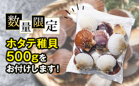 ＼ホタテ稚貝500g付き！／ 【訳あり】北海道産 ホタテ 貝柱 500g フレーク 刺身用 冷凍＜海鮮問屋　株式会社　瑞宝＞ 森町 ほたて 帆立 ホタテ 海産物 魚貝類 おつまみ 海鮮丼 魚介類 貝柱