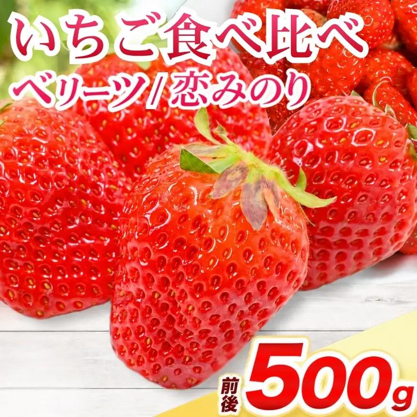 ベリーツ ・ 恋みのり 食べ比べセット 各250g ( 約500g ) | いちご ベリー フルーツ 果物 産地直送 大分県 中津市